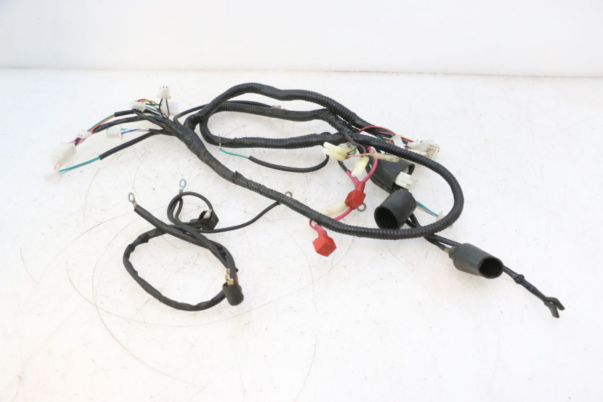 photo de WIRE HARNESS LAZIO RENO 50 (2016 - 2021) - Component detail