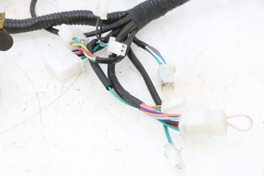 photo de WIRE HARNESS LAZIO RENO 50 (2016 - 2021) - Additional view of the item