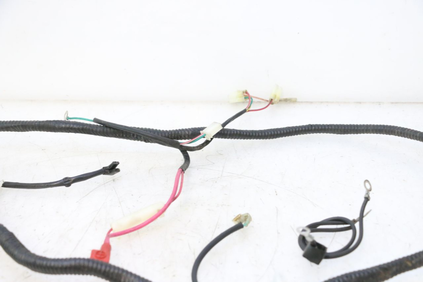 photo de WIRE HARNESS LAZIO RENO 50 (2016 - 2021) - Surface and material condition