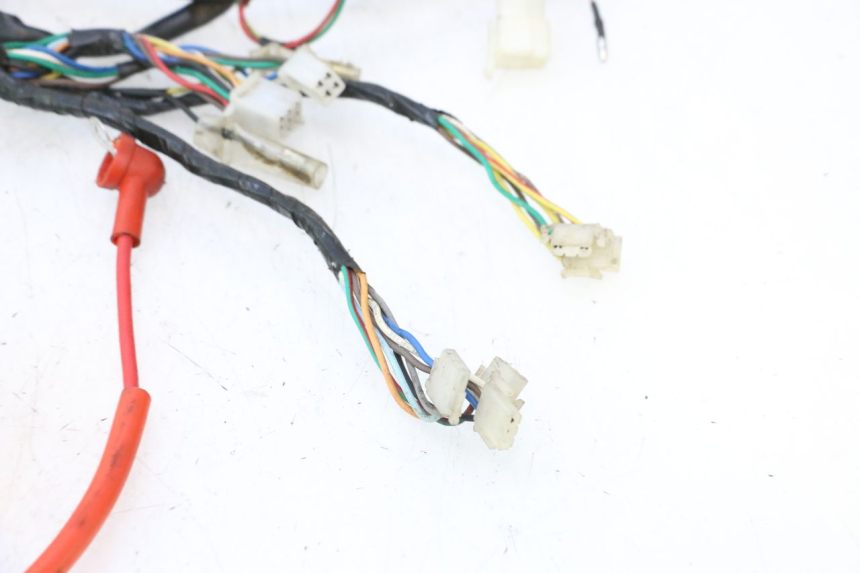 photo de WIRE HARNESS YIYING RETRO 50 (2008 - 2017) - Zoom on usage condition