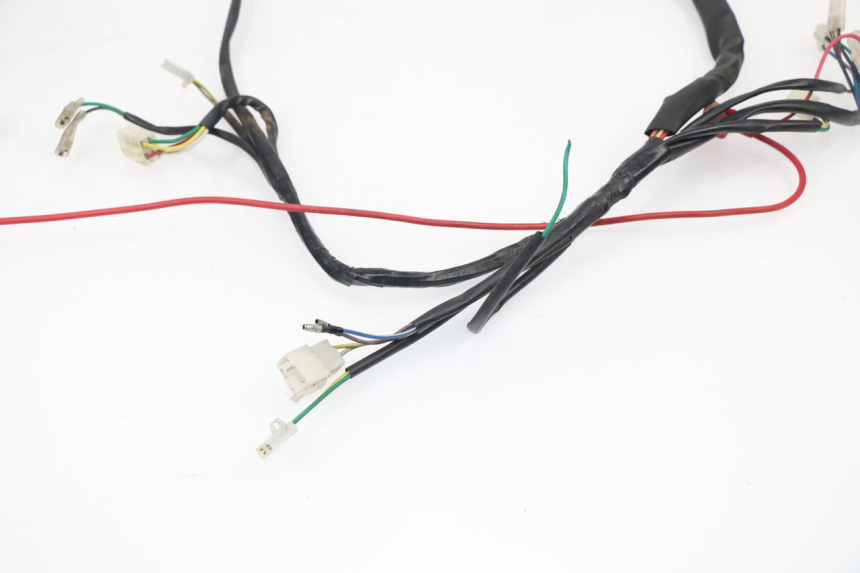 photo de WIRE HARNESS BHM REVENGER 50 (2009 - 2015) - Zoom on usage condition