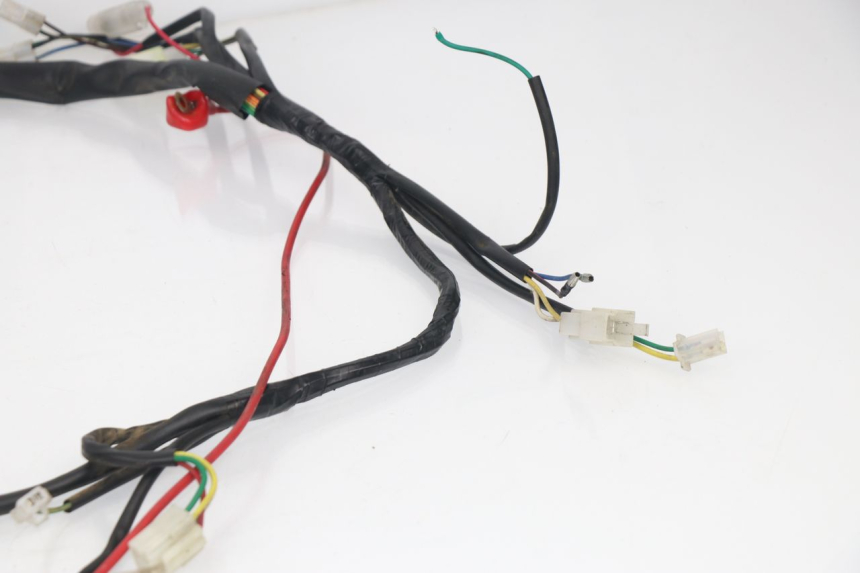 photo de WIRE HARNESS BHM REVENGER 50 (2009 - 2015) - Technical close-up