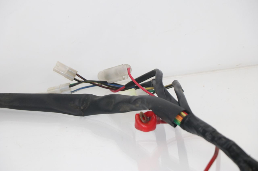 photo de WIRE HARNESS BHM REVENGER 50 (2009 - 2015) - Fixing points details