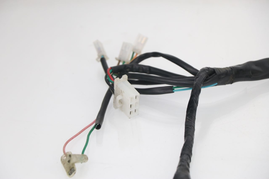photo de WIRE HARNESS BHM REVENGER 50 (2009 - 2015) - Surface and material condition