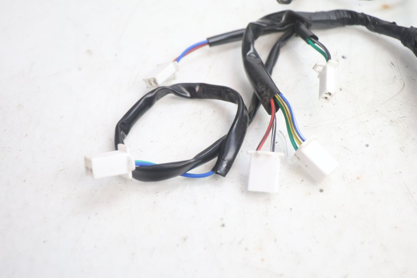 photo de WIRING HARNESS APOLLO RFZ 150 - Zoom on usage condition