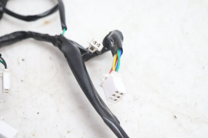 photo de WIRING HARNESS APOLLO RFZ 150 - Technical close-up