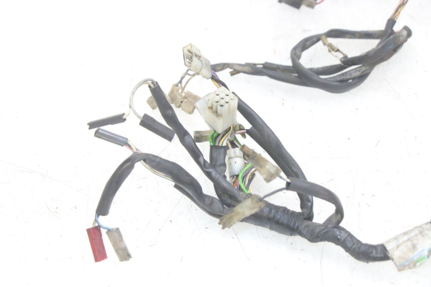 photo de WIRING HARNESS GILERA RK 50 (1996 - 1999) - Component detail