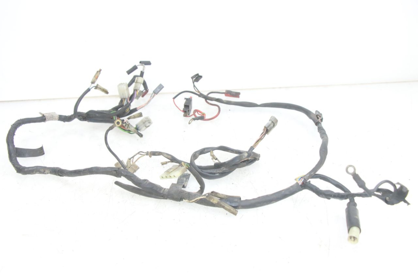 photo de WIRING HARNESS GILERA RK 50 (1996 - 1999) - Product overview