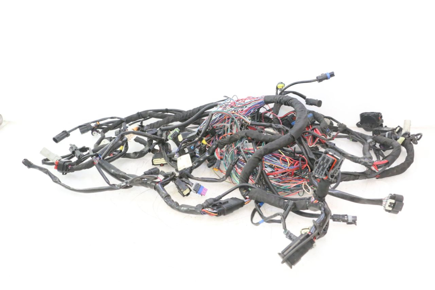 photo de WIRE HARNESS HARLEY DAVIDSON ROAD GLIDE FLTRXSE 1920 (2018 - 2022) - Main view