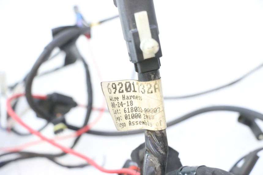 photo de WIRE HARNESS HARLEY DAVIDSON ROAD GLIDE FLTRXSE 1920 (2018 - 2022) - Distinctive features