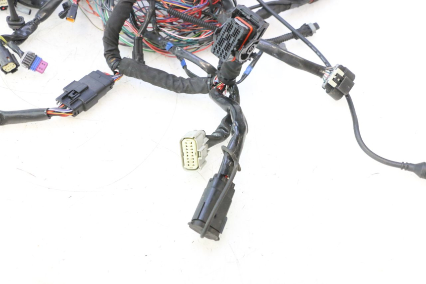 photo de WIRE HARNESS HARLEY DAVIDSON ROAD GLIDE FLTRXSE 1920 (2018 - 2022) - Zoom on usage condition