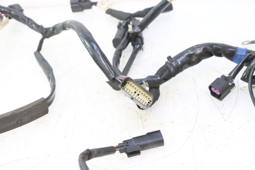 photo de WIRE HARNESS HARLEY DAVIDSON ROAD GLIDE FLTRXSE 1920 (2018 - 2022) - Zoom on usage condition