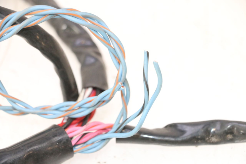 photo de WIRE HARNESS HARLEY DAVIDSON ROAD GLIDE FLTRXSE 1920 (2018 - 2022) - Technical close-up