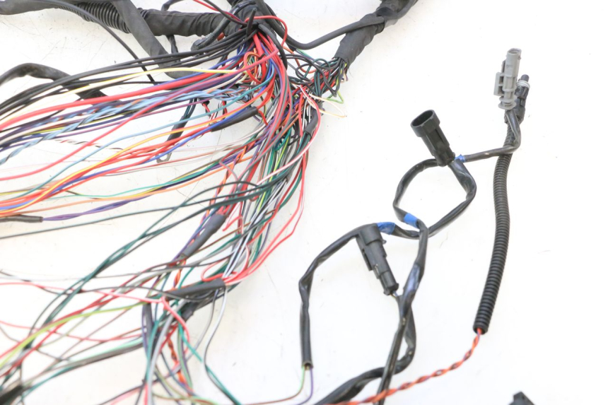 photo de WIRE HARNESS HARLEY DAVIDSON ROAD GLIDE FLTRXSE 1920 (2018 - 2022) - Markings and original references