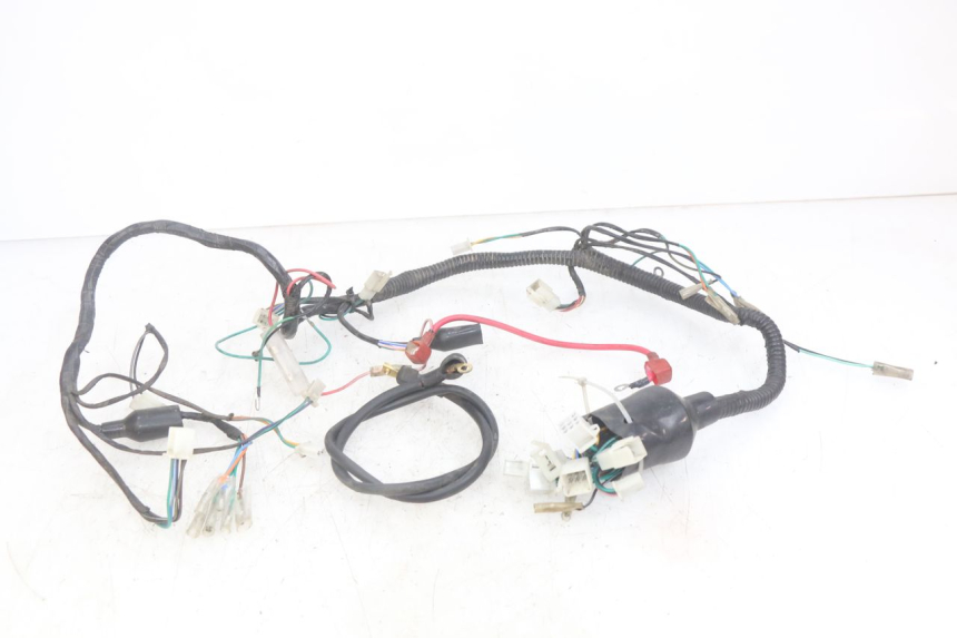 photo de WIRING HARNESS YAMASAKI ROADSTER 50 (2013 - 2018) - Main view