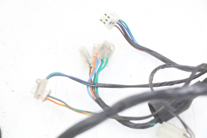 photo de WIRING HARNESS YAMASAKI ROADSTER 50 (2013 - 2018) - Technical close-up