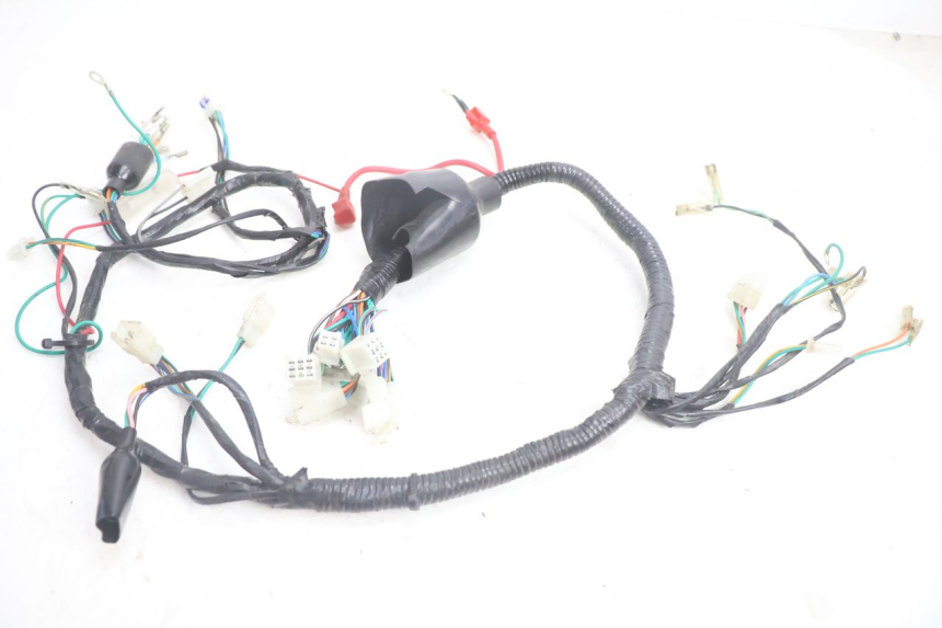 photo de WIRING HARNESS YAMASAKI ROADSTER 50 (2013 - 2018) - Main view
