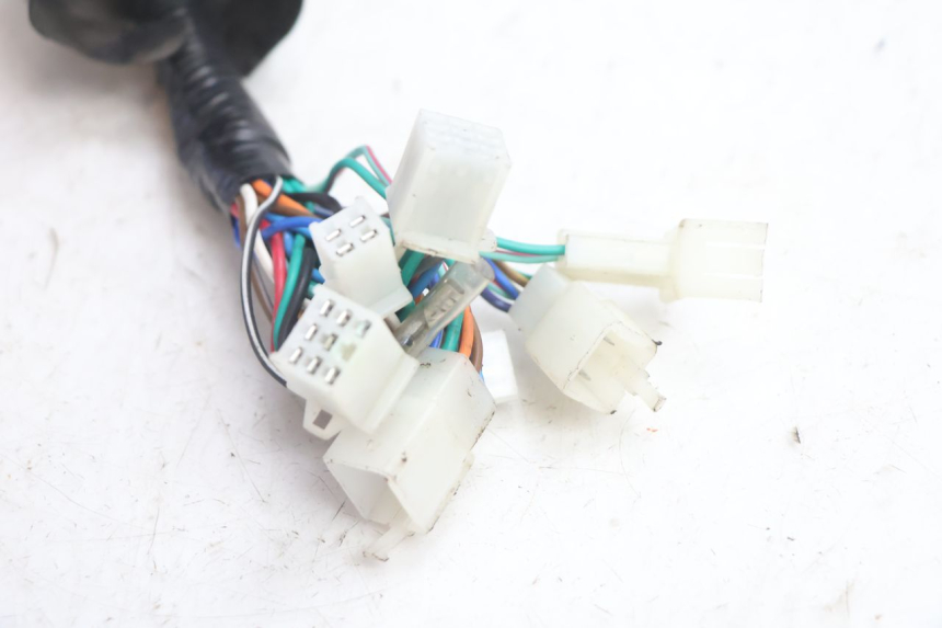 photo de WIRING HARNESS YAMASAKI ROADSTER 50 (2013 - 2018) - Component detail