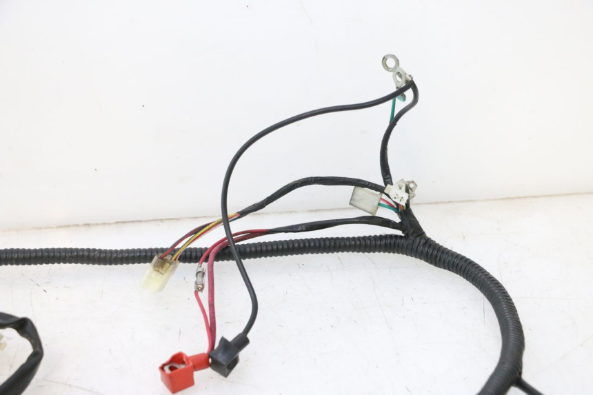 photo de WIRING HARNESS TNT MOTOR ROMA 10' 2T 50 (2011 - 2018) - Additional view of the item