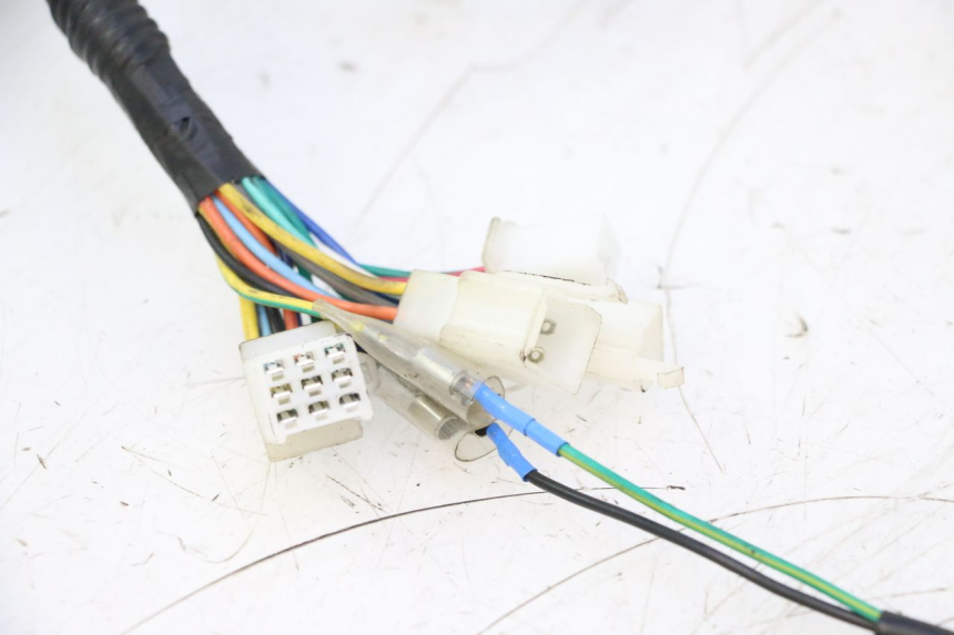 photo de WIRING HARNESS TNT MOTOR ROMA 10' 2T 50 (2011 - 2018) - High-resolution close-up
