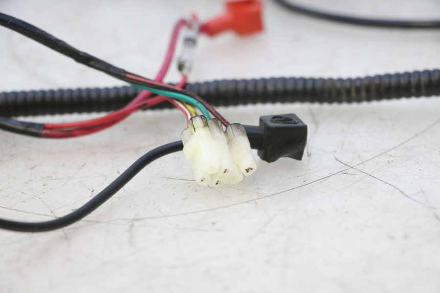photo de WIRING HARNESS TNT MOTOR ROMA 10' 2T 50 (2011 - 2018) - Zoom on usage condition