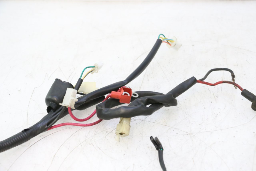 photo de WIRING HARNESS TNT MOTOR ROMA 10' 2T 50 (2011 - 2018) - Alternative perspective