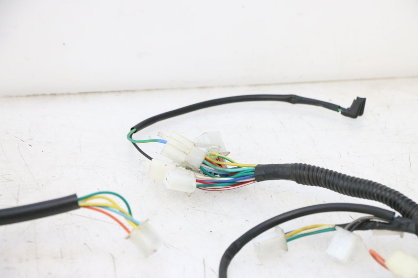 photo de WIRING HARNESS TNT MOTOR ROMA 10' 2T 50 (2011 - 2018) - Product overview