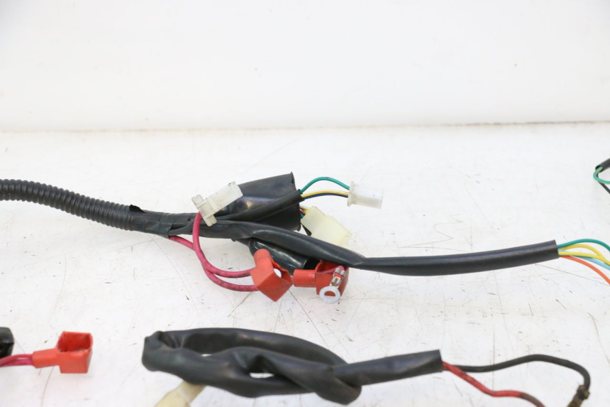 photo de WIRING HARNESS TNT MOTOR ROMA 10' 2T 50 (2011 - 2018) - Fixing points details