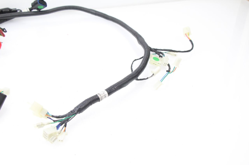 photo de WIRE HARNESS TNT MOTOR ROMA 10' 4T 50 (2007 - 2018) - Product overview