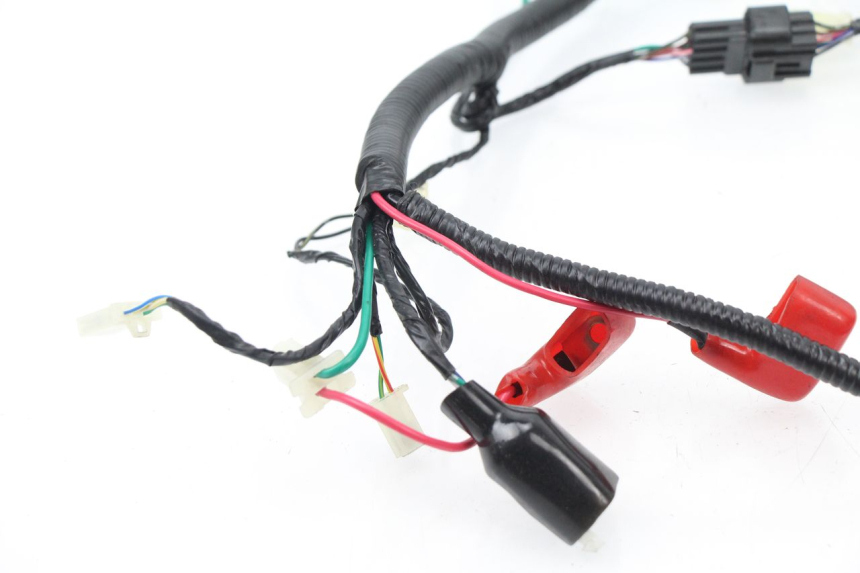 photo de WIRE HARNESS TNT MOTOR ROMA 10' 4T 50 (2007 - 2018) - Checked used part
