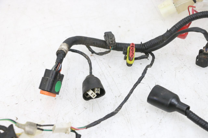 photo de WIRING HARNESS TNT MOTOR ROMA 10' 4T 50 (2019 - 2022) - Distinctive features