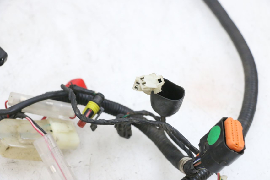 photo de WIRING HARNESS TNT MOTOR ROMA 10' 4T 50 (2019 - 2022) - Zoom on usage condition