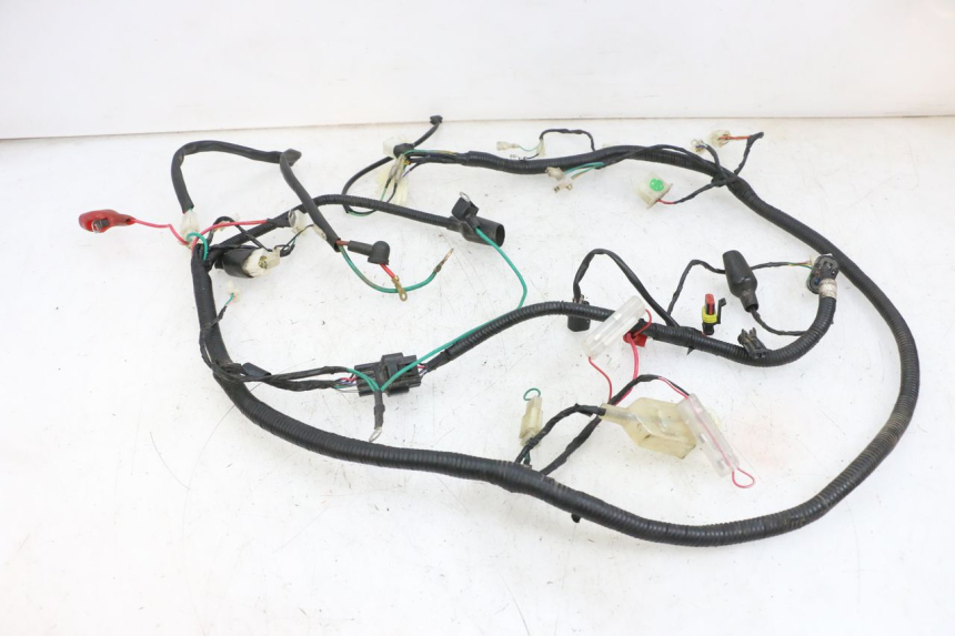 photo de WIRING HARNESS TNT MOTOR ROMA 10' 4T 50 (2019 - 2022) - Fixing points details