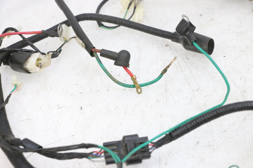 photo de WIRING HARNESS TNT MOTOR ROMA 10' 4T 50 (2019 - 2022) - Surface and material condition