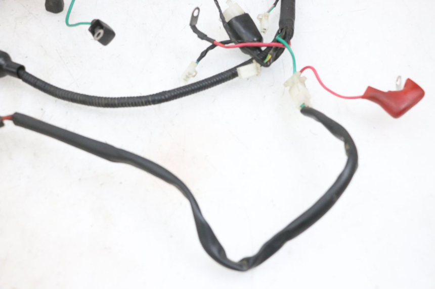 photo de WIRING HARNESS TNT MOTOR ROMA 10' 4T 50 (2019 - 2022) - Checked used part