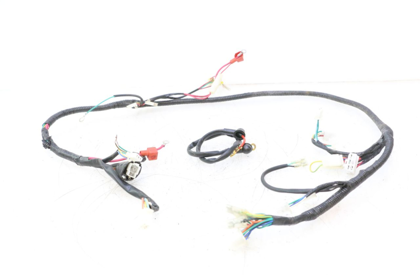 photo de WIRE HARNESS TNT MOTOR ROMA 10' 4T 50 (2007 - 2018) - Main view