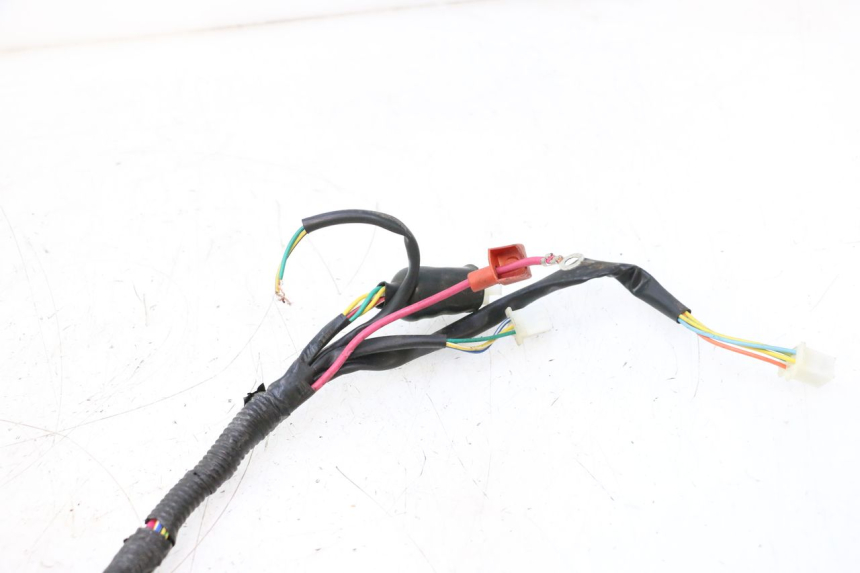 photo de WIRE HARNESS TNT MOTOR ROMA 10' 4T 50 (2007 - 2018) - Component detail