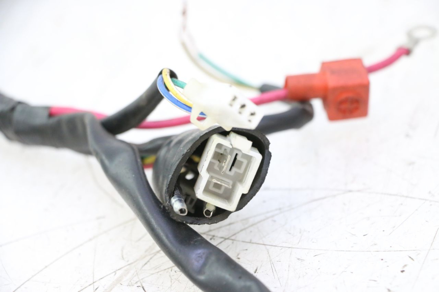 photo de WIRE HARNESS TNT MOTOR ROMA 10' 4T 50 (2007 - 2018) - Distinctive features