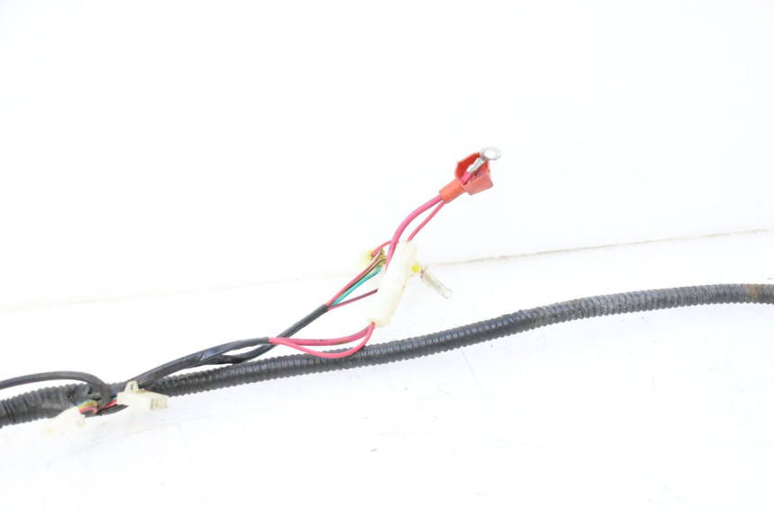 photo de WIRE HARNESS TNT MOTOR ROMA 10' 4T 50 (2007 - 2018) - Fixing points details