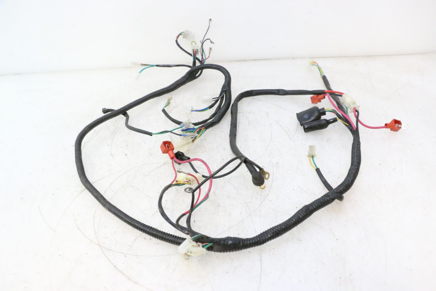 photo de WIRE HARNESS TNT MOTOR ROMA 12' 2T 50 (2007 - 2018) - Component detail