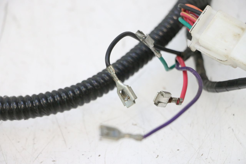 photo de WIRE HARNESS TNT MOTOR ROMA 12' 2T 50 (2007 - 2018) - Distinctive features