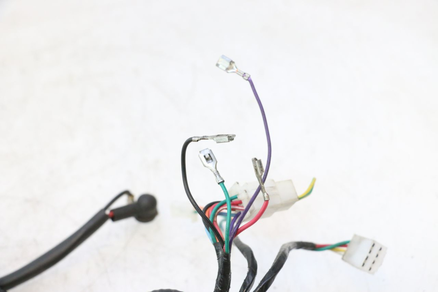 photo de WIRE HARNESS TNT MOTOR ROMA 12' 2T 50 (2007 - 2018) - Product overview