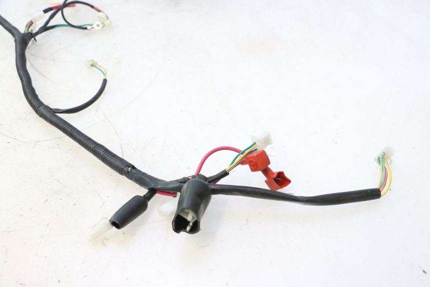 photo de WIRE HARNESS TNT MOTOR ROMA 12' 2T 50 (2007 - 2018) - Component detail