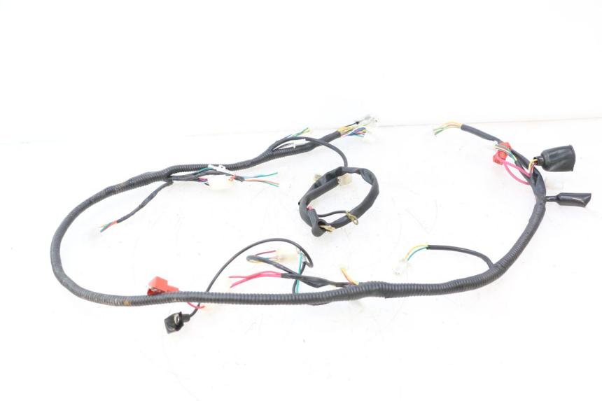 photo de WIRE HARNESS TNT MOTOR ROMA 12' 2T 50 (2007 - 2018) - Technical close-up
