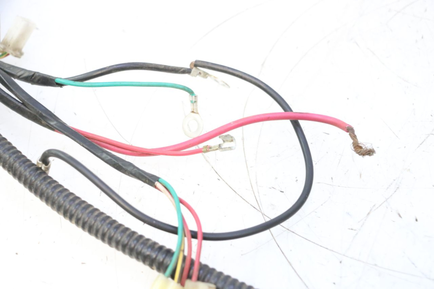 photo de WIRE HARNESS TNT MOTOR ROMA 12' 2T 50 (2007 - 2018) - Component detail