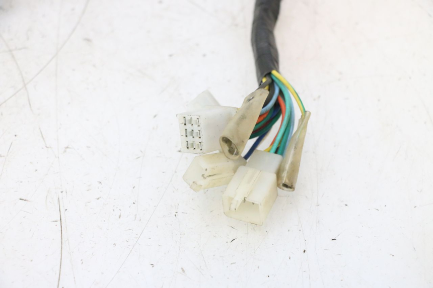 photo de WIRE HARNESS TNT MOTOR ROMA 12' 2T 50 (2007 - 2018) - High-resolution close-up