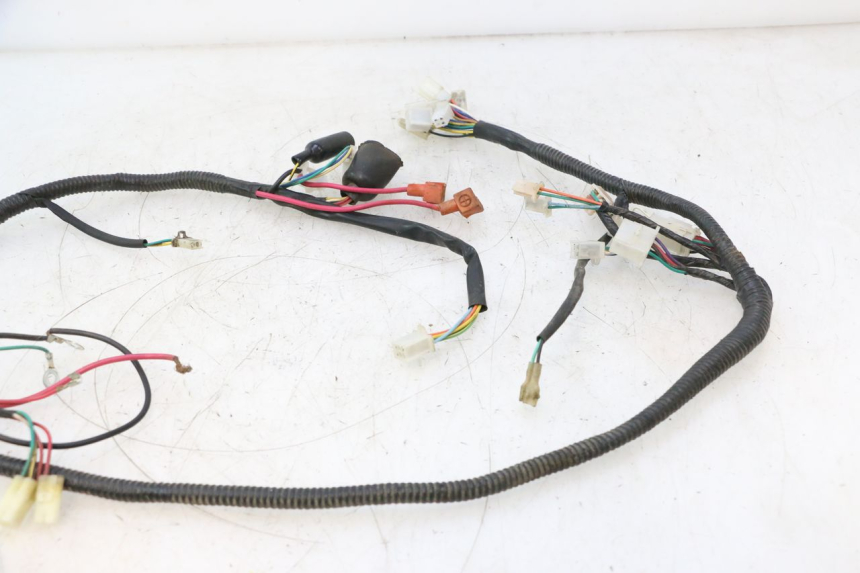 photo de WIRE HARNESS TNT MOTOR ROMA 12' 2T 50 (2007 - 2018) - Product overview
