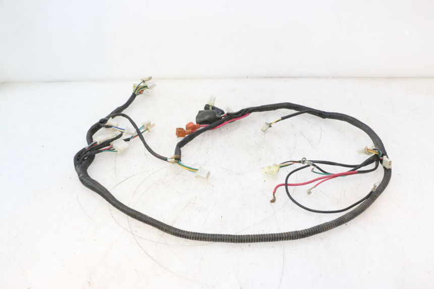 photo de WIRE HARNESS TNT MOTOR ROMA 12' 2T 50 (2007 - 2018) - Checked used part