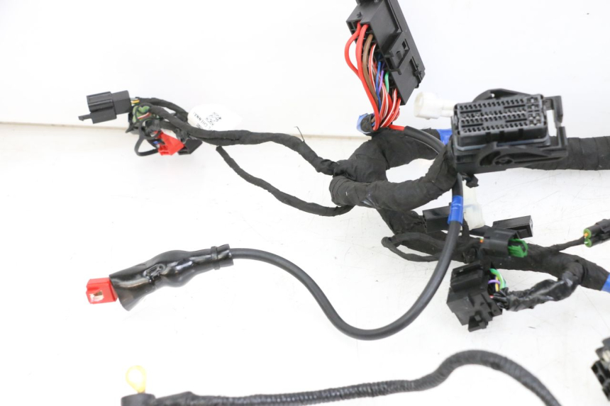 photo de WIRE HARNESS ROYAL ENFIELD CONTINENTAL GT 650 (2019 - 2024) - Additional view of the item
