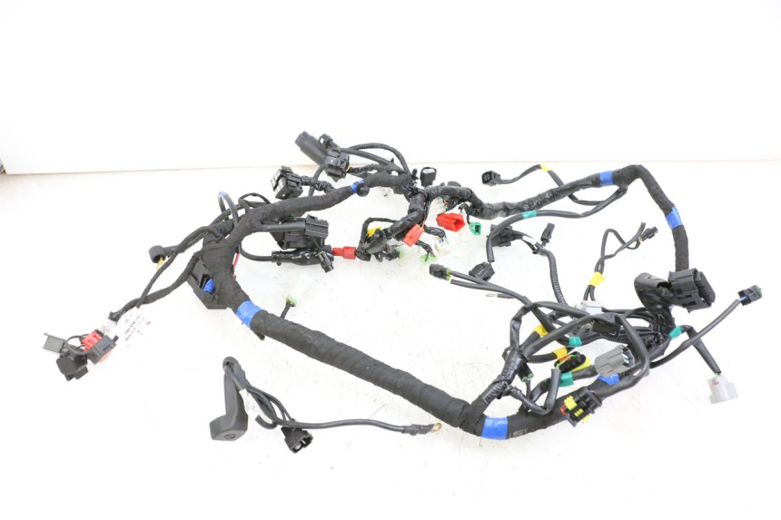 photo de WIRE HARNESS ROYAL ENFIELD CONTINENTAL GT 650 (2019 - 2024) - Product overview